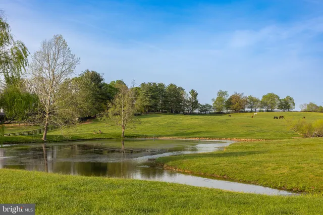 a view of a lake with a big yard