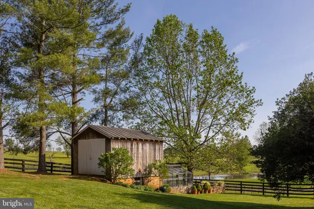 a view of a yard with plants and trees