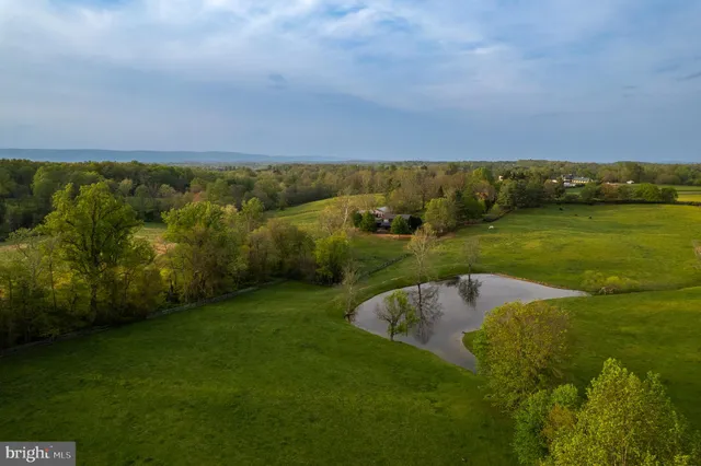 a view of a field with an ocean