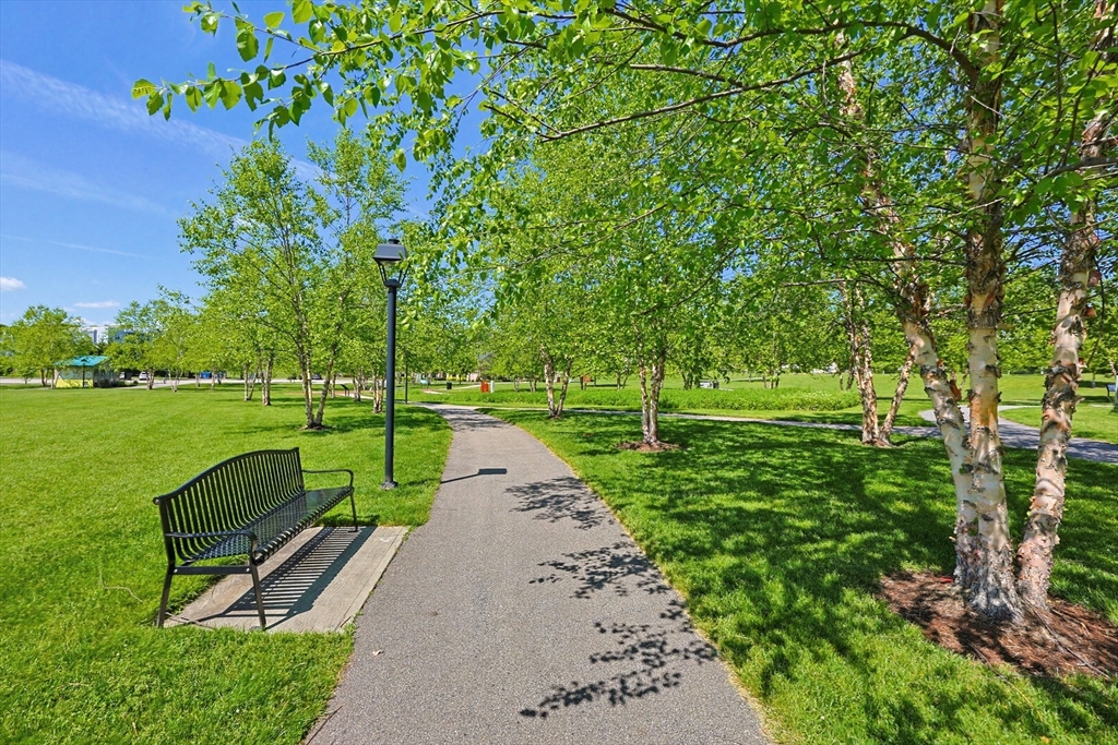 200 Revere Street, Unit 4209 Canton, MA 02021 - Photo 30 of 35 a view of a park with large trees