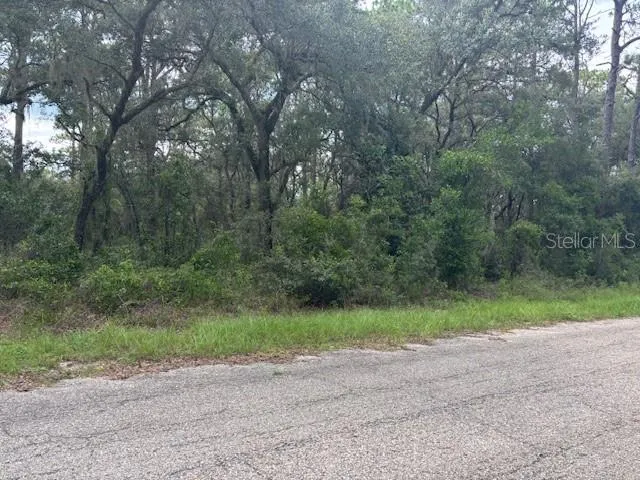 a view of a field with plants and trees