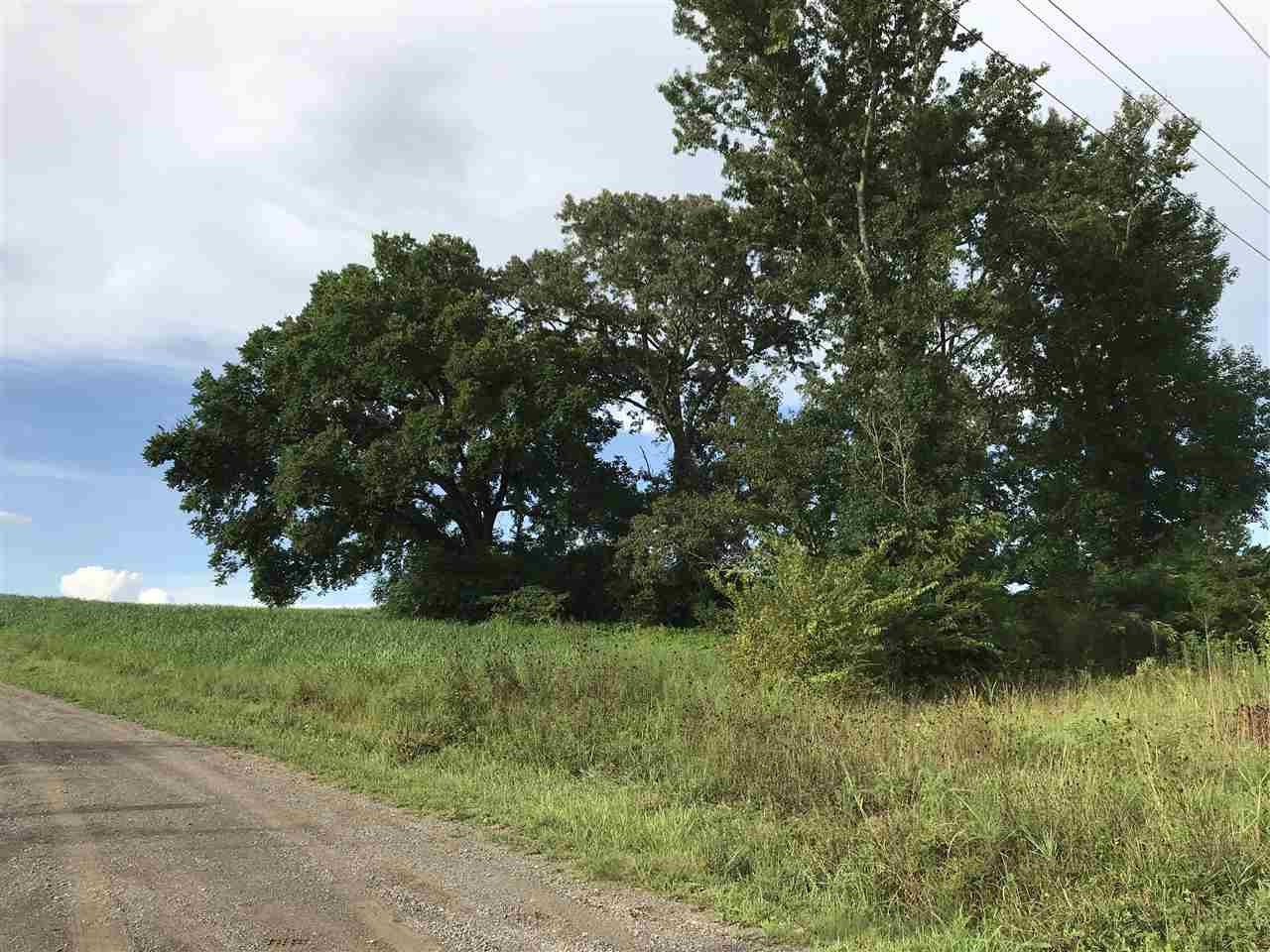 0 Hunters Trail Sweetwater, TN 37874 - Photo 10 of 12