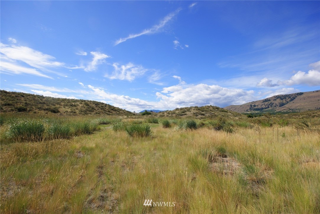20 Hamilton Ranch Loop Winthrop, WA 98862 - Photo 11 of 22 Gallery Image 11