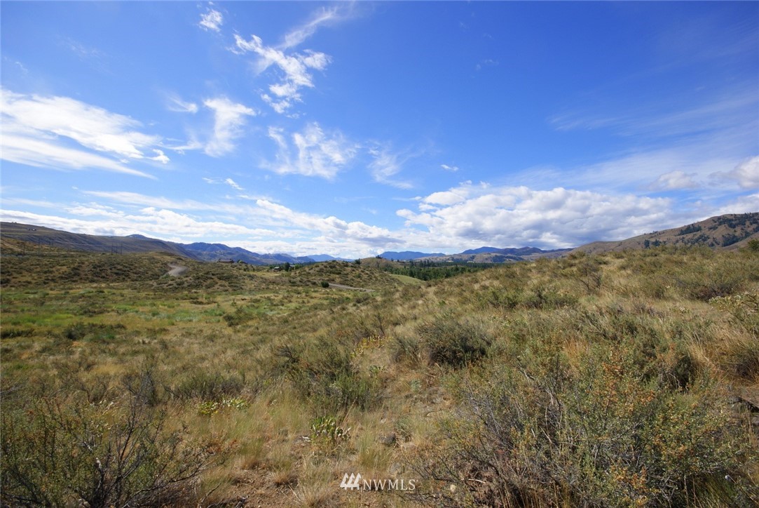 20 Hamilton Ranch Loop Winthrop, WA 98862 - Photo 15 of 22 Gallery Image 15