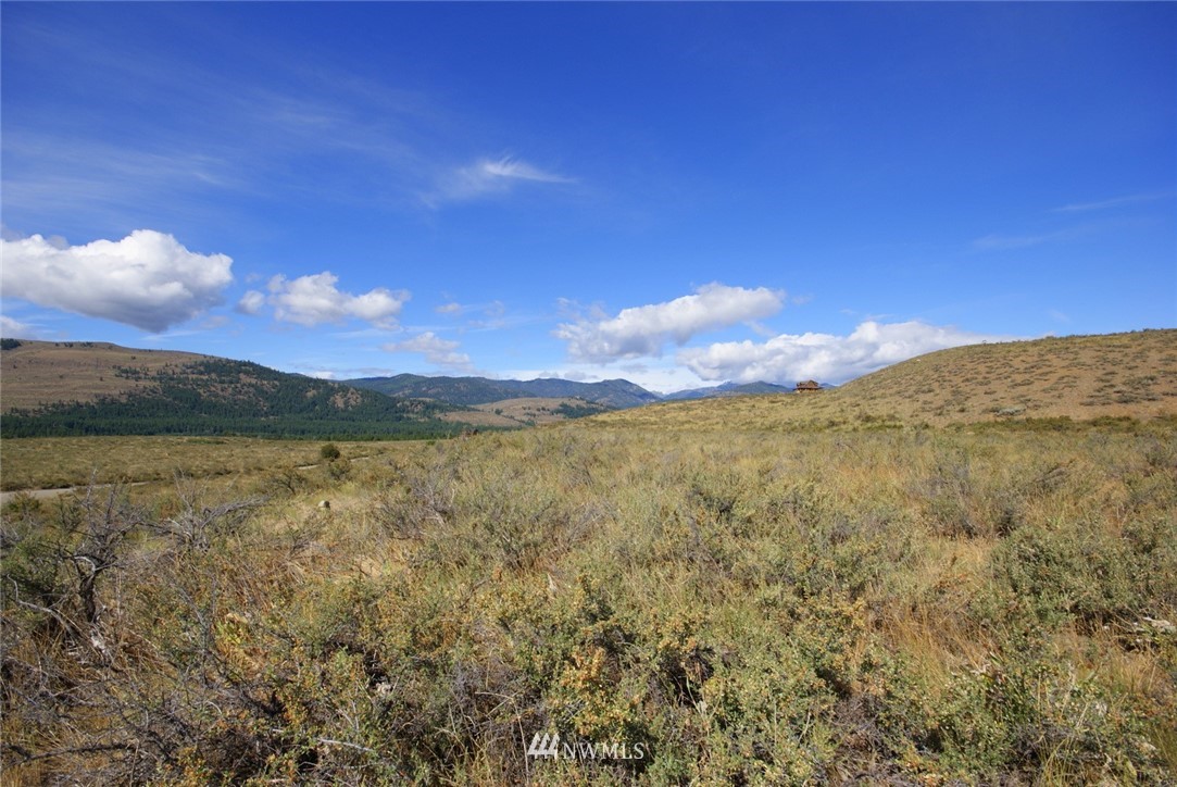20 Hamilton Ranch Loop Winthrop, WA 98862 - Photo 16 of 22 Gallery Image 16