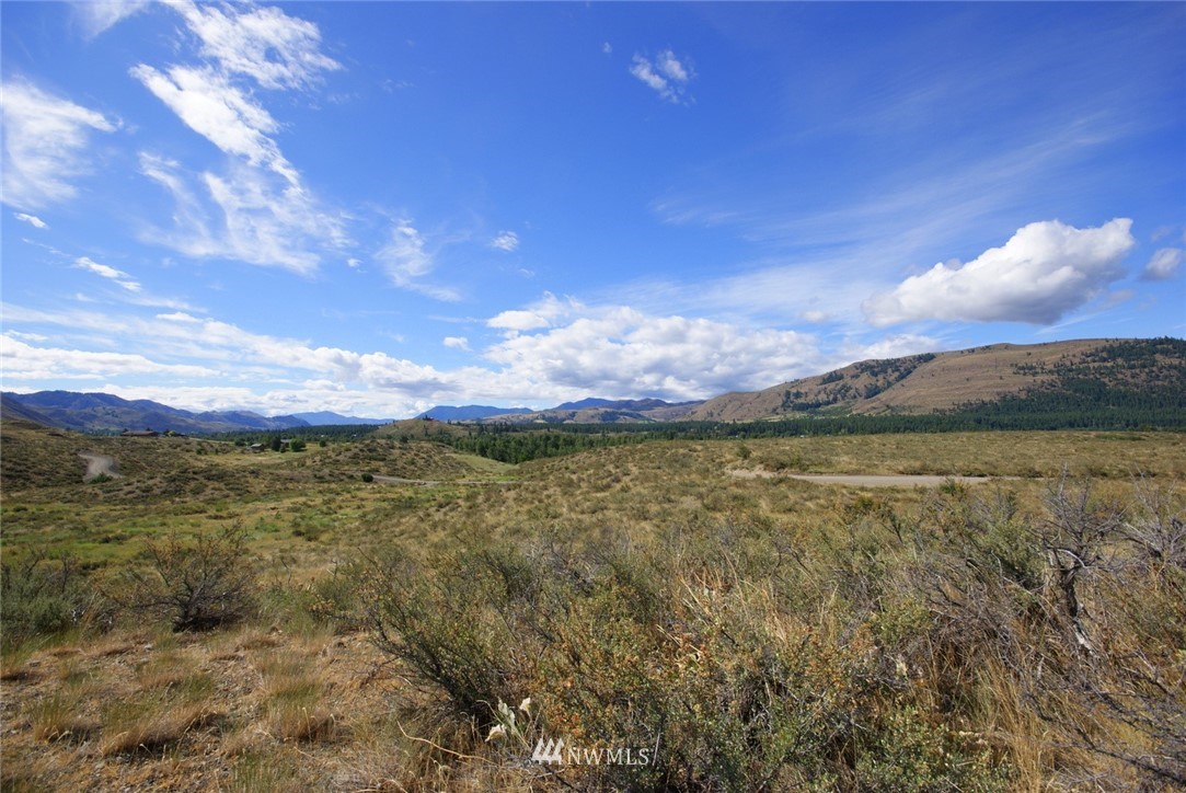 20 Hamilton Ranch Loop Winthrop, WA 98862 - Photo 17 of 22 Gallery Image 17