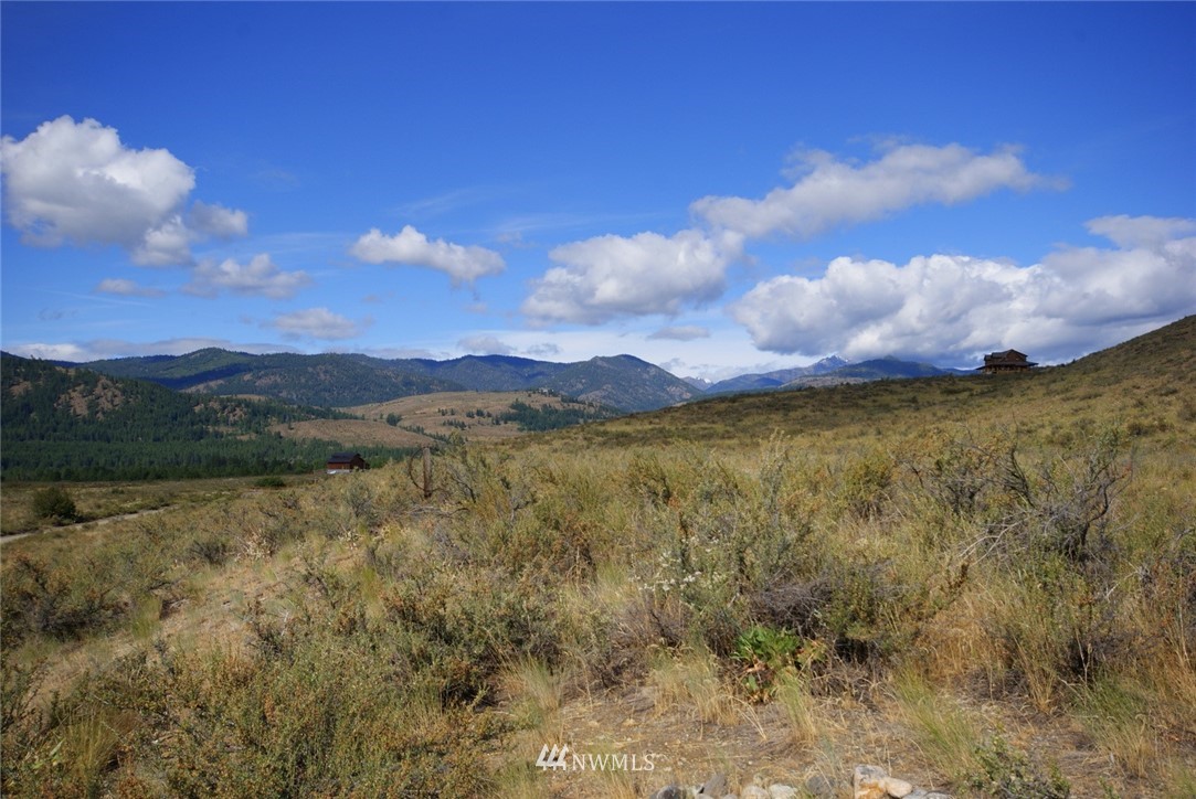 20 Hamilton Ranch Loop Winthrop, WA 98862 - Photo 20 of 22 Gallery Image 20