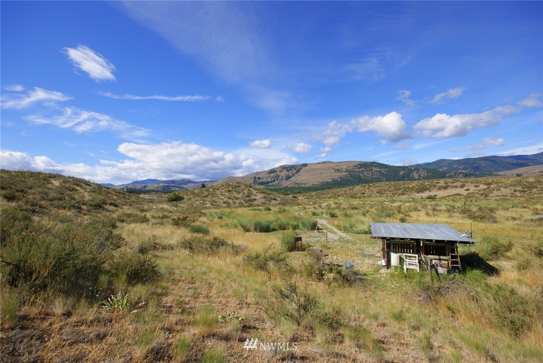 20 Hamilton Ranch Loop Winthrop, WA 98862 - Photo 8 of 22 Gallery Image 8