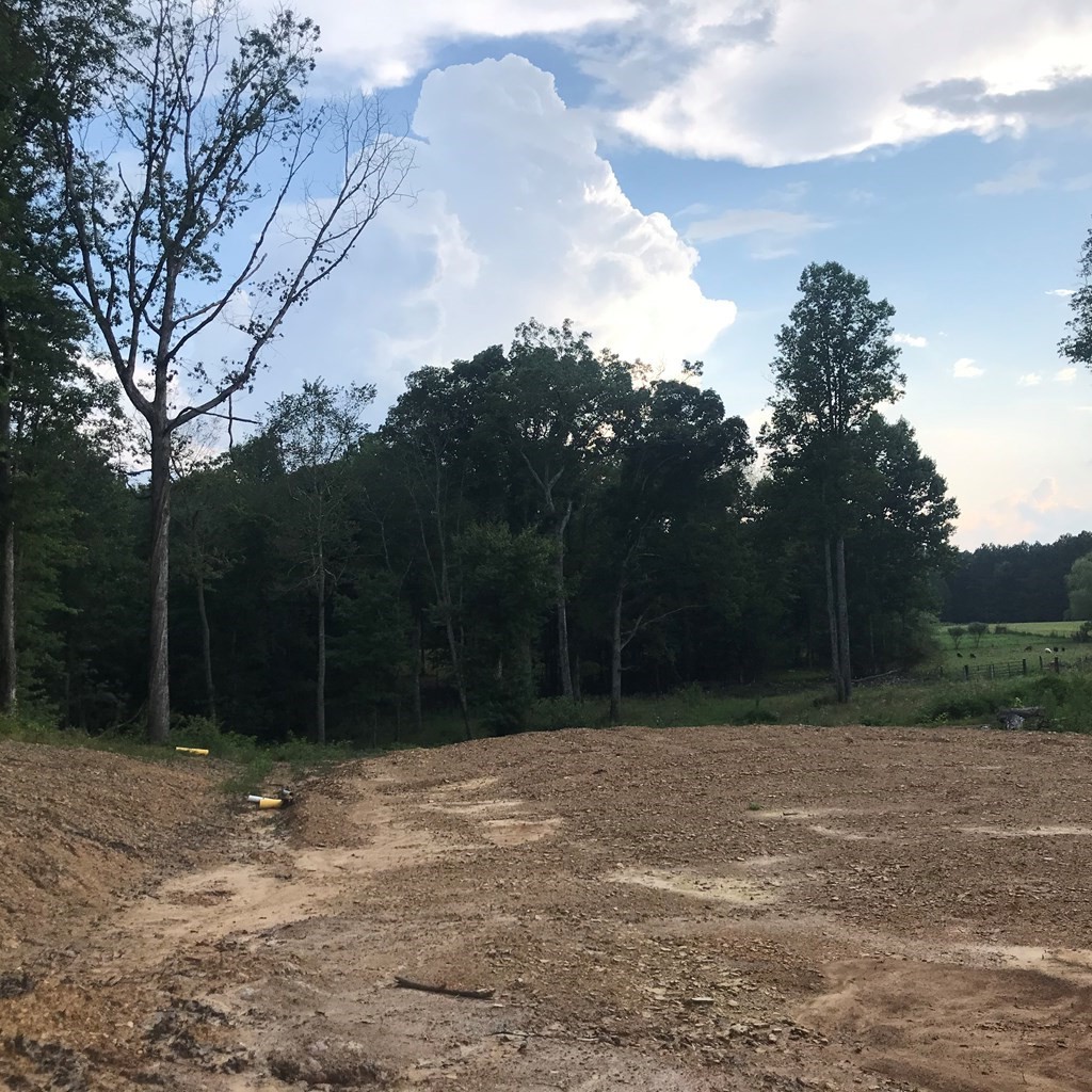 979 Shaver Road Dayton, TN 37321 - Photo 12 of 15