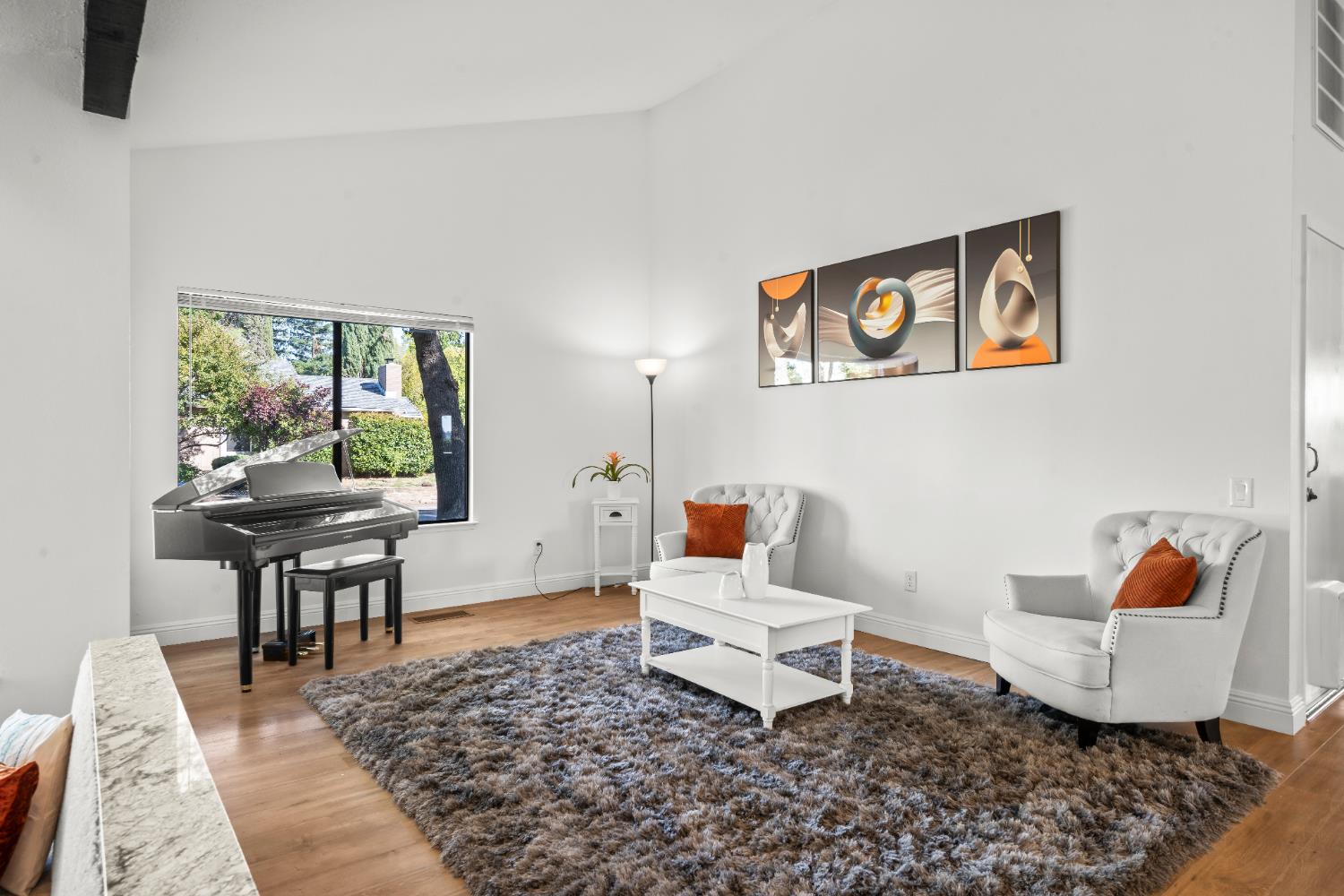 6427 Wittenham Way Orangevale, CA 95662 - Photo 10 of 51 a living room with furniture and a rug