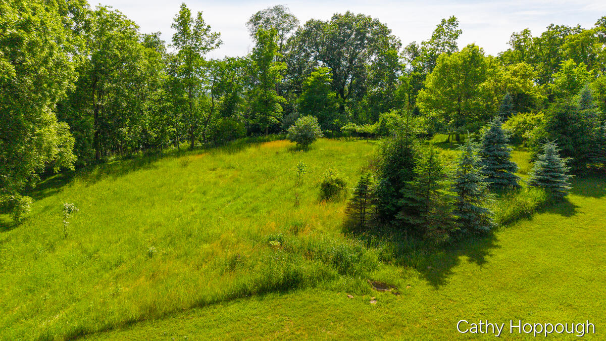 8152 Murphy Road Lyons, MI 48851 - Photo 64 of 70 8152_Murphy_CATHY-33