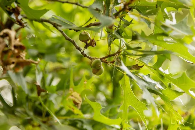 $169,500 | 5 Southeast 1151st Road, Windsor, MO 65360