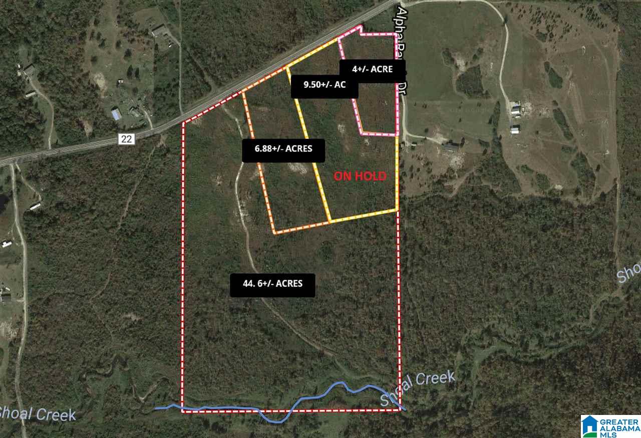 Shoal Creek Road, Unit 4 Springville, AL 35146 - Photo 2 of 10