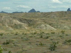 10 Rio Vista Willow Beach, AZ 86445 - Photo 1 of 1 Primary Photo