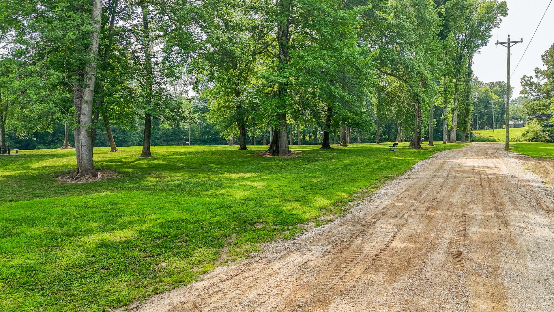 1820 Pinhook Road Savannah, TN 38372 - Photo 25 of 57 a view of a park with trees in the background