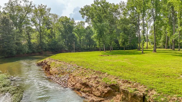 a view of a swimming pool with a garden