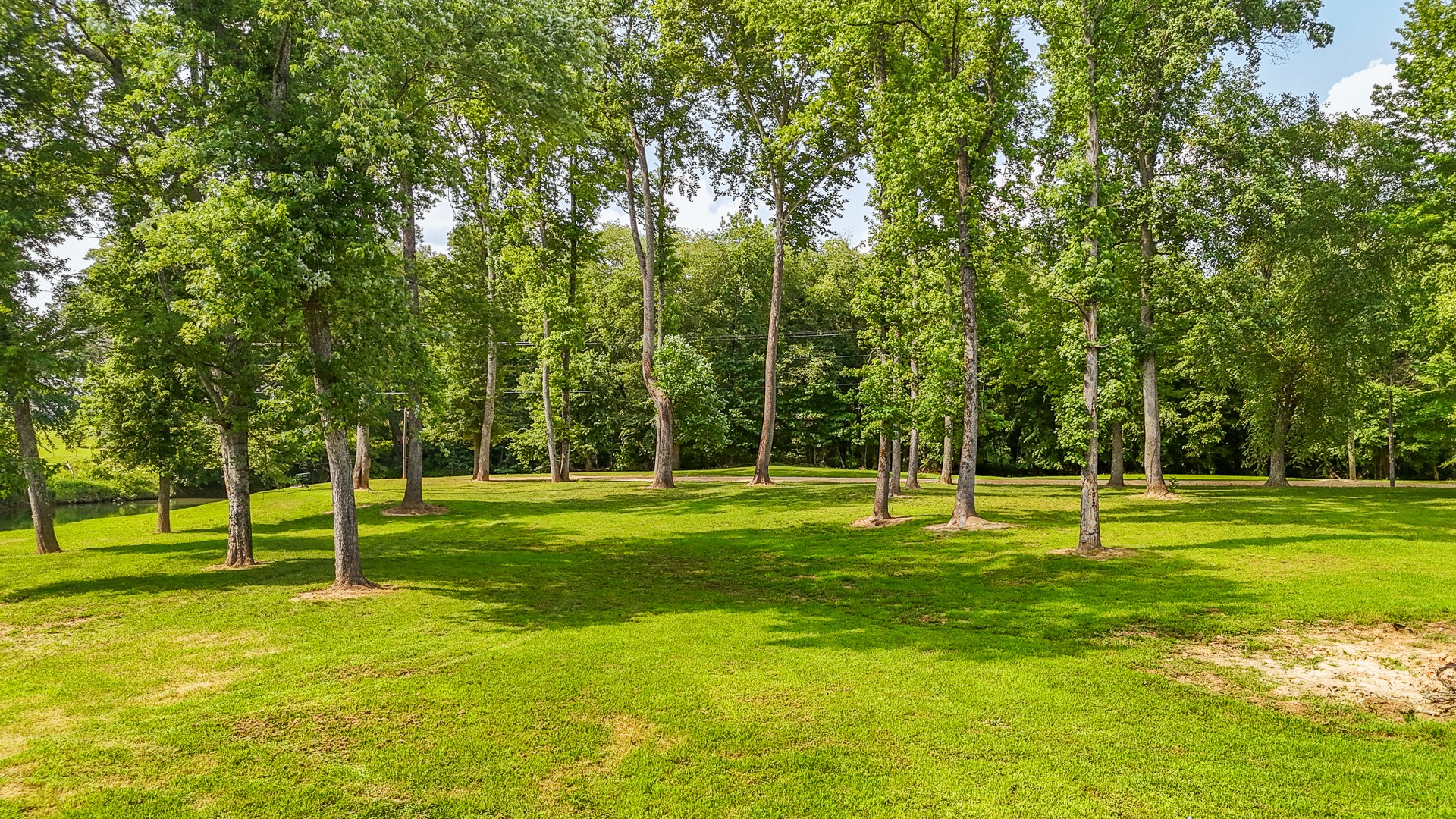 1820 Pinhook Road Savannah, TN 38372 - Photo 31 of 57 a view of a park with a tree in the park