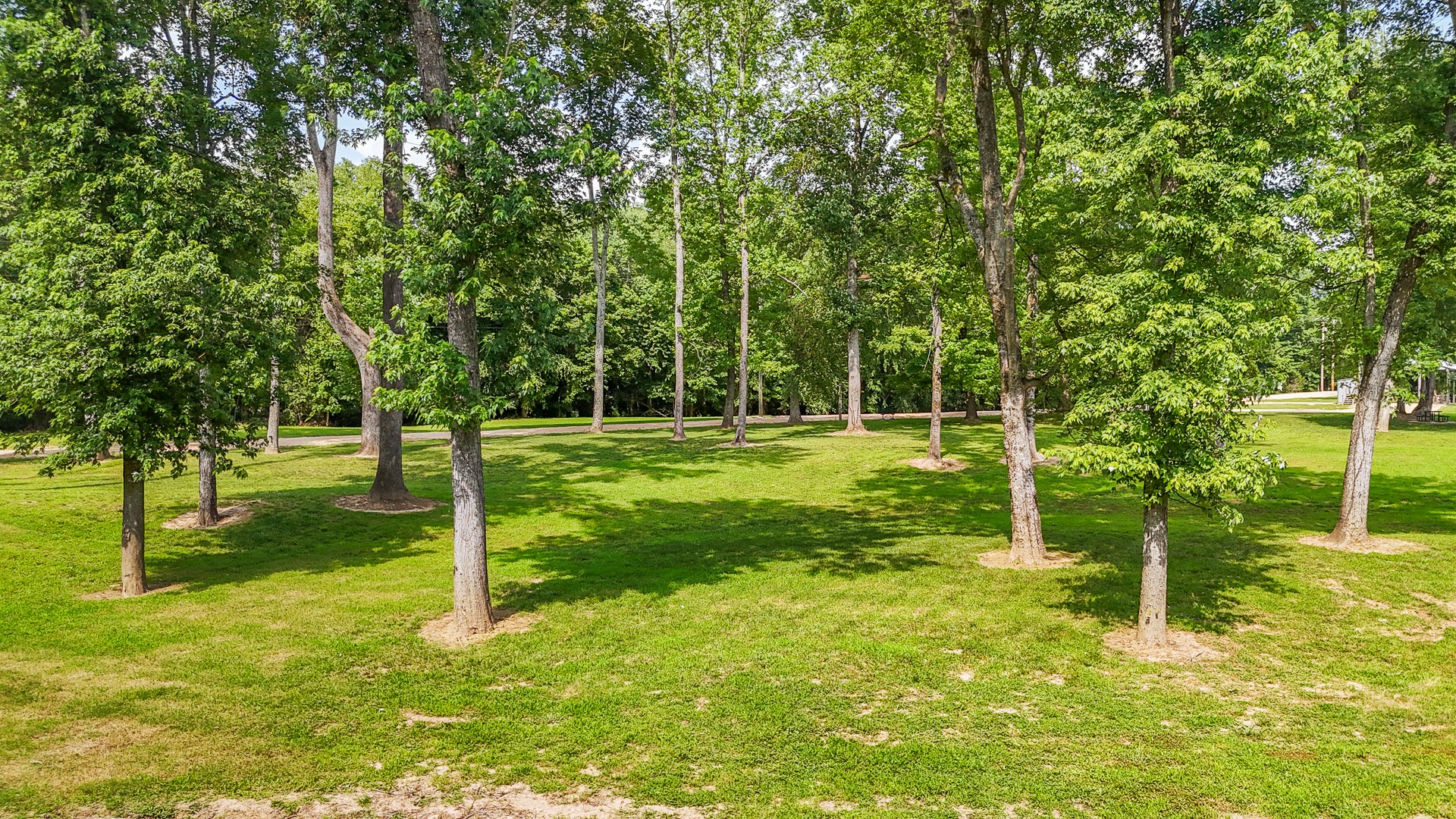 1820 Pinhook Road Savannah, TN 38372 - Photo 36 of 57 a view of a park with a tree
