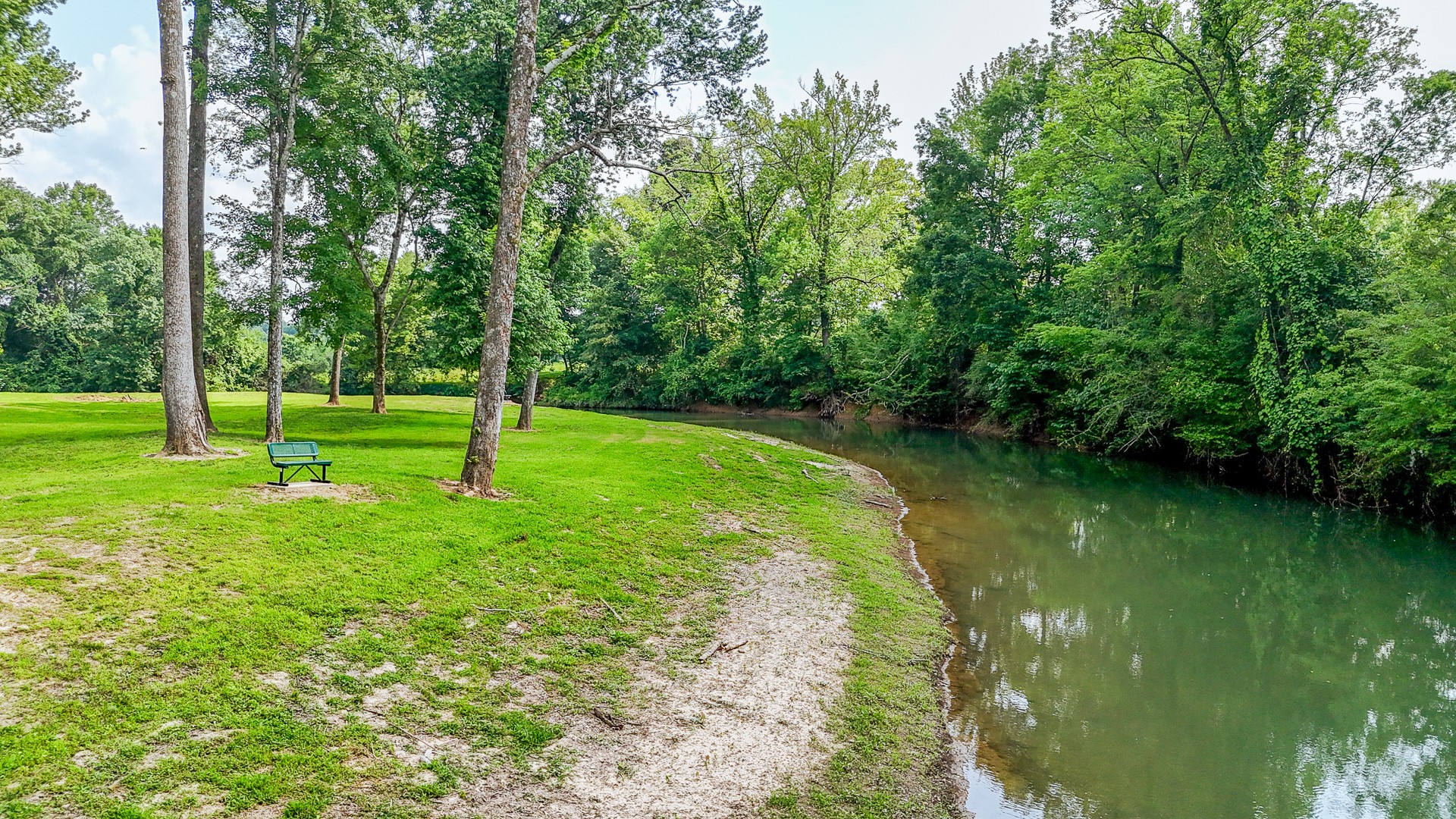 1820 Pinhook Road Savannah, TN 38372 - Photo 38 of 57 a view of a park with a tree