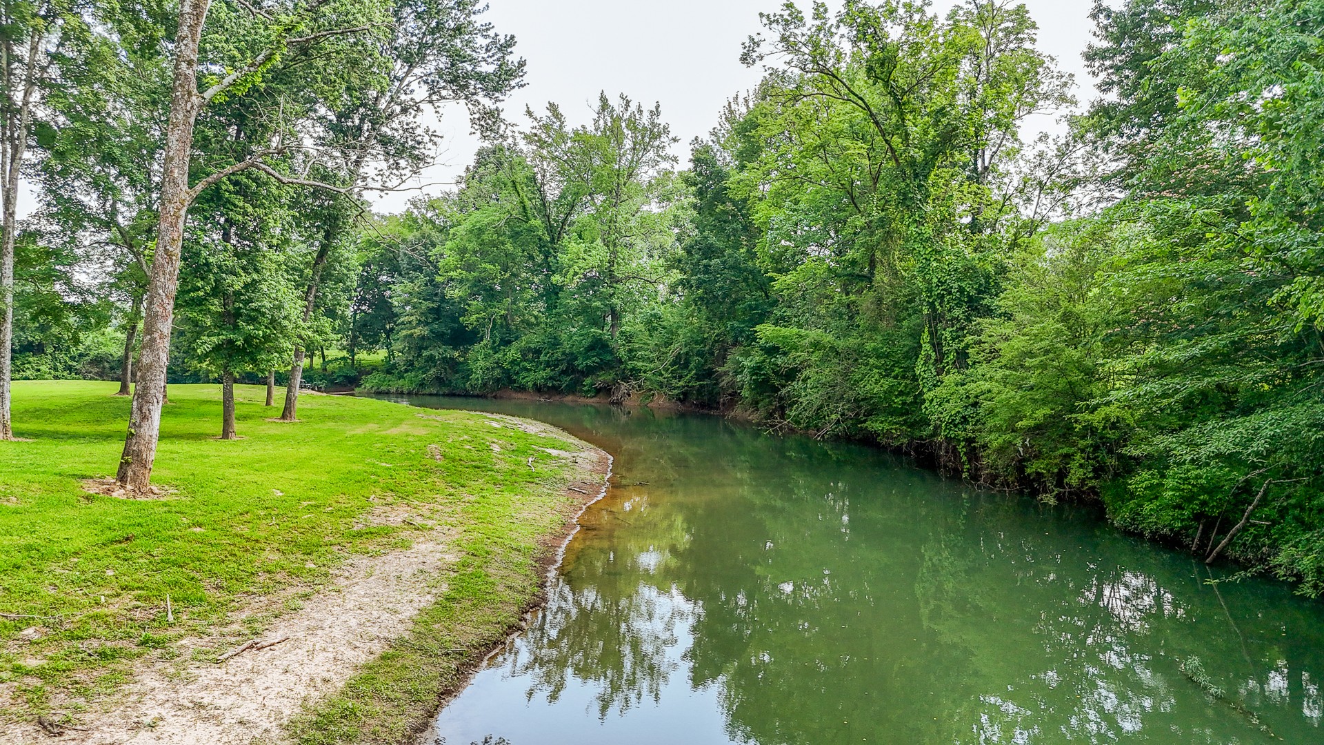 1820 Pinhook Road Savannah, TN 38372 - Photo 41 of 57 a view of a trees with a yard