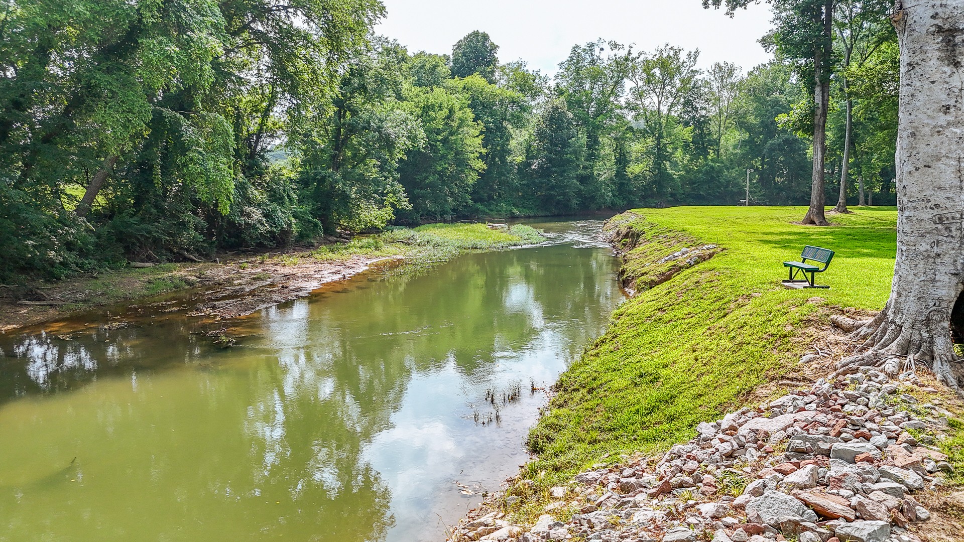 1820 Pinhook Road Savannah, TN 38372 - Photo 45 of 57 a view of a lake with a yard
