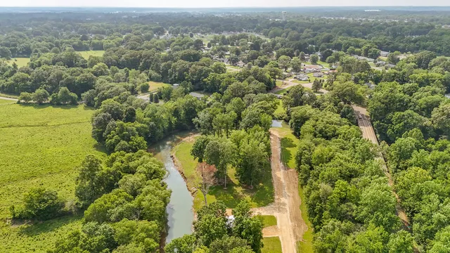 a view of a park with large trees