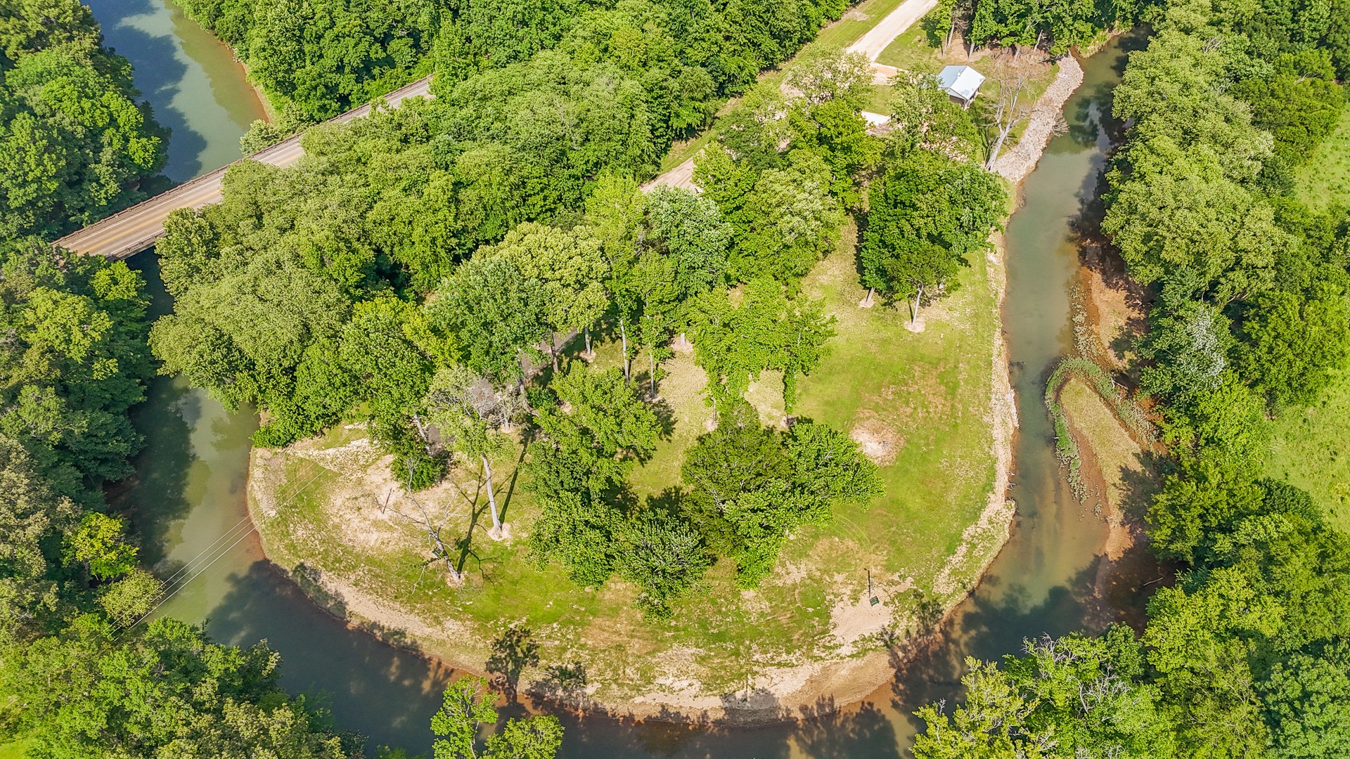 1820 Pinhook Road Savannah, TN 38372 - Photo 7 of 57 a close up of a tree