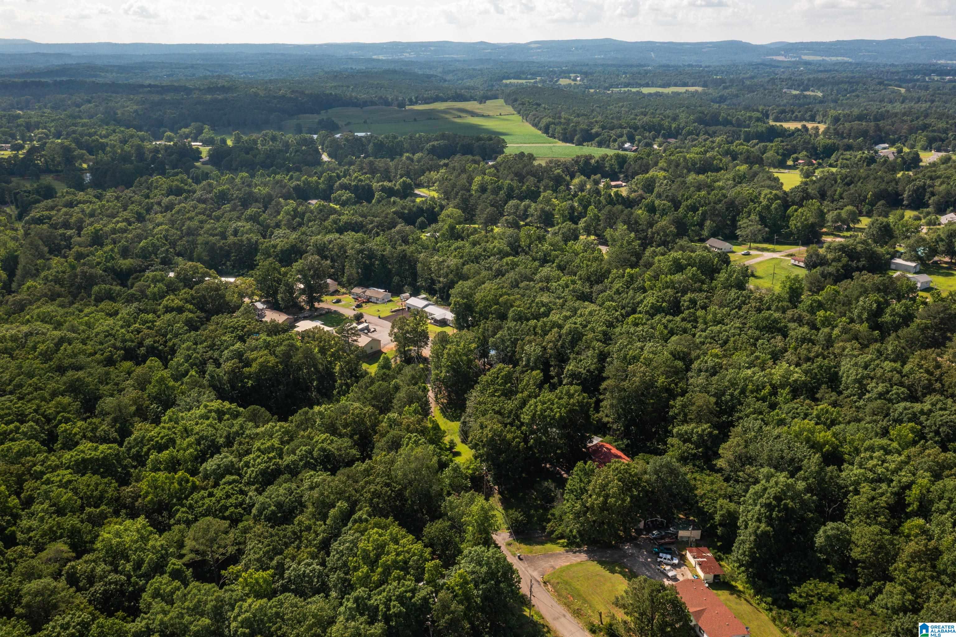 650 Davidson Drive Locust Fork, AL 35097 - Photo 47 of 55