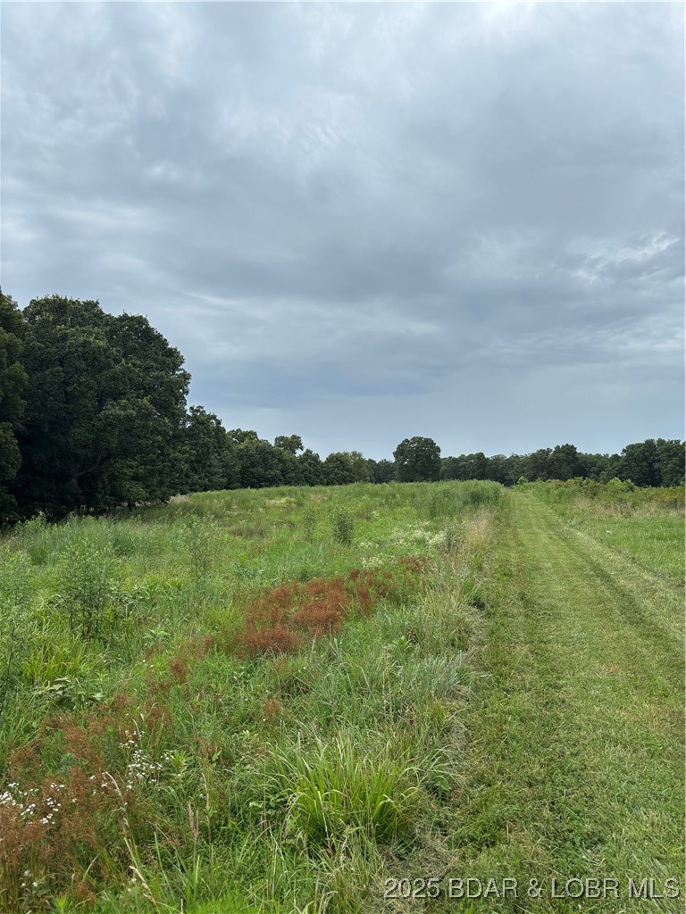Beechnut Road Stover, MO 65078 - Photo 1 of 1