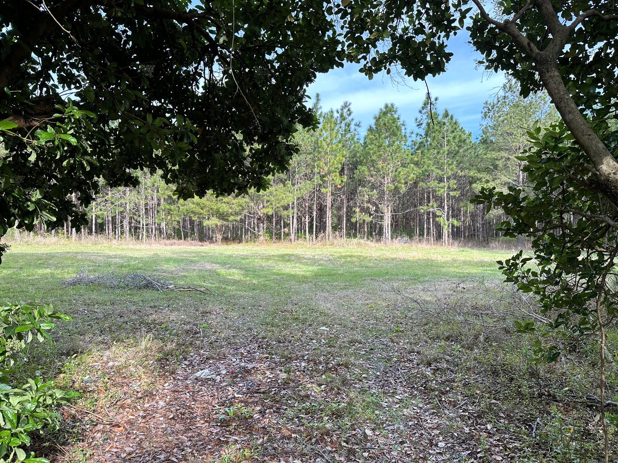 303 Schoolhouse Road Dorchester, SC 29437 - Photo 29 of 35 Backyard Entrance