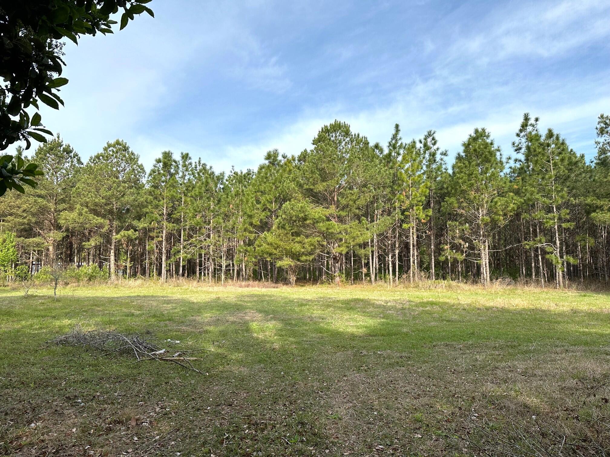 303 Schoolhouse Road Dorchester, SC 29437 - Photo 30 of 35 Backyard