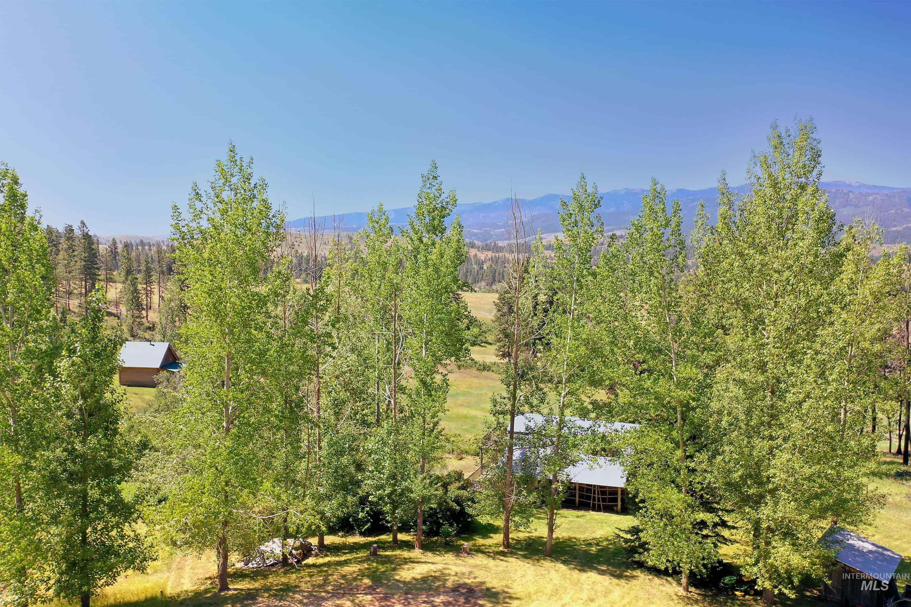 2150 Seid Creek Road Cambridge, ID 83610 - Photo 2 of 50 Expansive property featuring mature deciduous trees and a rustic cabin with a gray roof