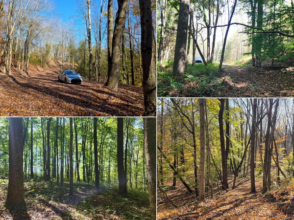 $64,900 | 871 Poplar Ridge Road, Unit PONDS POPLAR RIDGE TRACT 13), Gallipolis, OH 45631