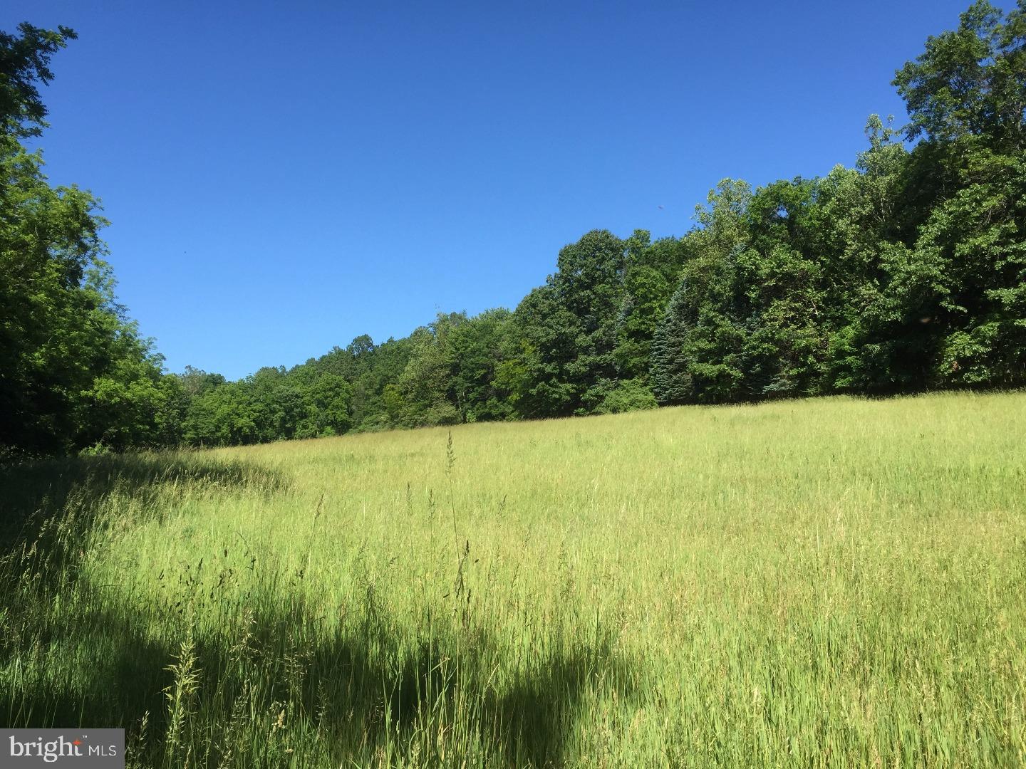 1 Funks Mill Road Riegelsville, PA 18077 - Photo 3 of 10