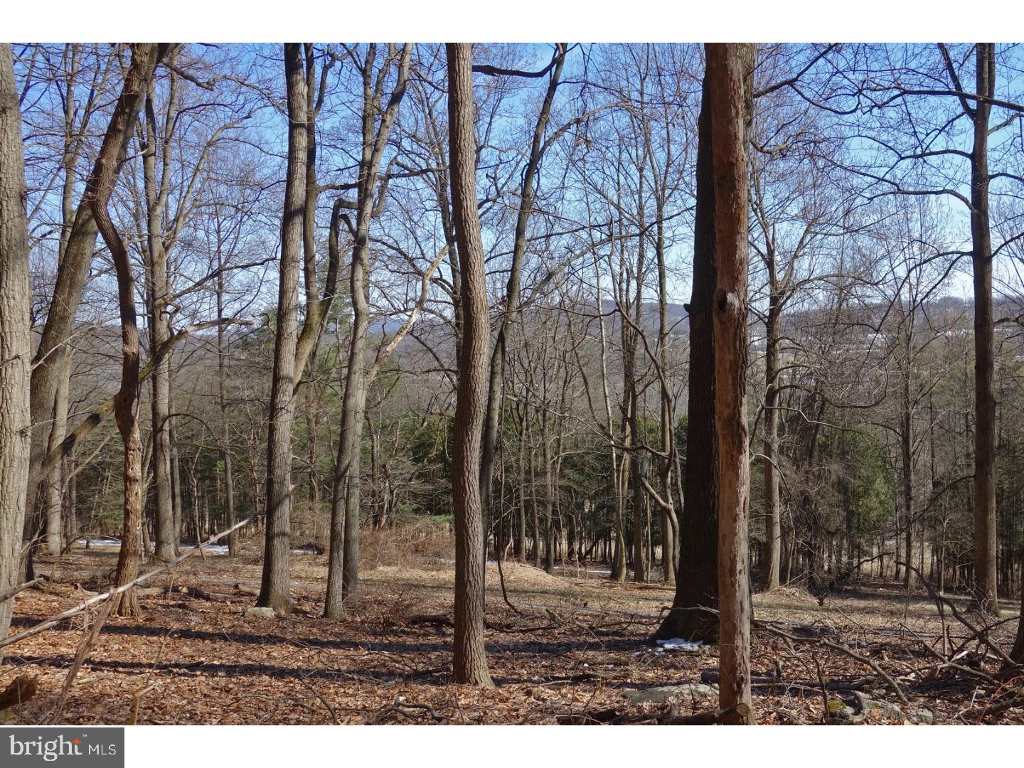 1 Funks Mill Road Riegelsville, PA 18077 - Photo 8 of 10