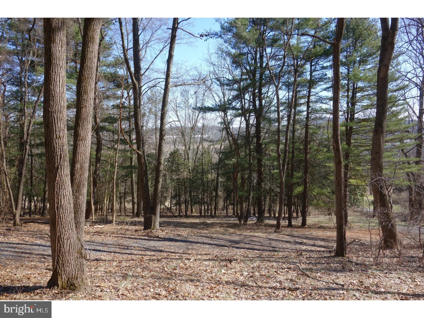 1 Funks Mill Road Riegelsville, PA 18077 - Photo 9 of 10