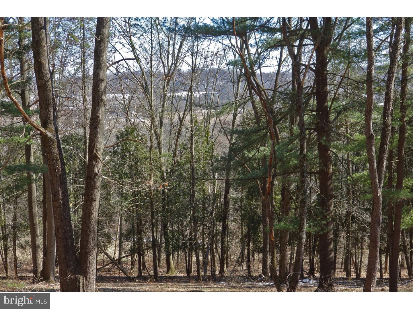 1 Funks Mill Road Riegelsville, PA 18077 - Photo 10 of 10