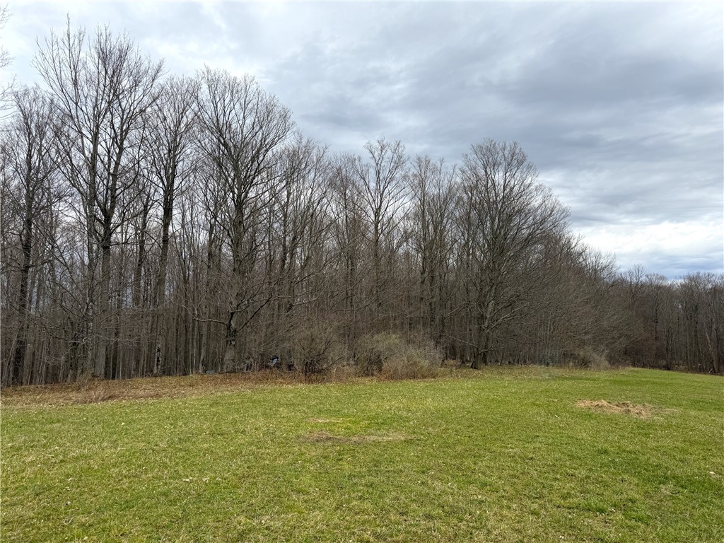 Lot 7 Summit Road Cuba, NY 14727 - Photo 12 of 31