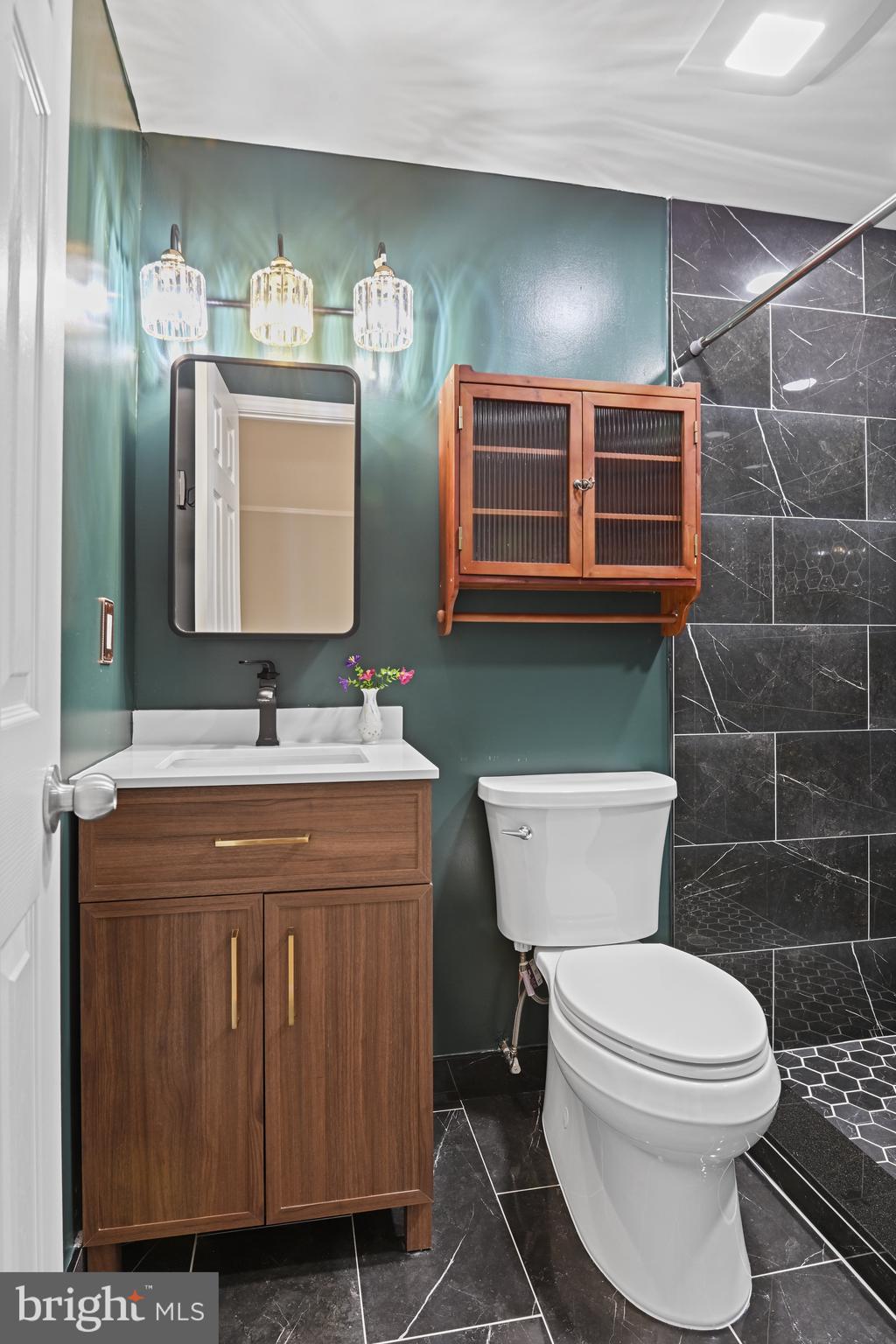 532 Merlins Lane Herndon, VA 20170 - Photo 16 of 42 a bathroom with a toilet a sink and mirror