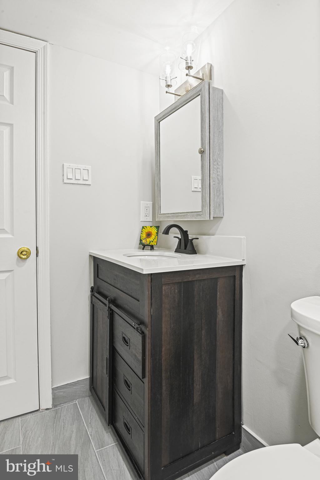 532 Merlins Lane Herndon, VA 20170 - Photo 36 of 42 a bathroom with a sink and a mirror