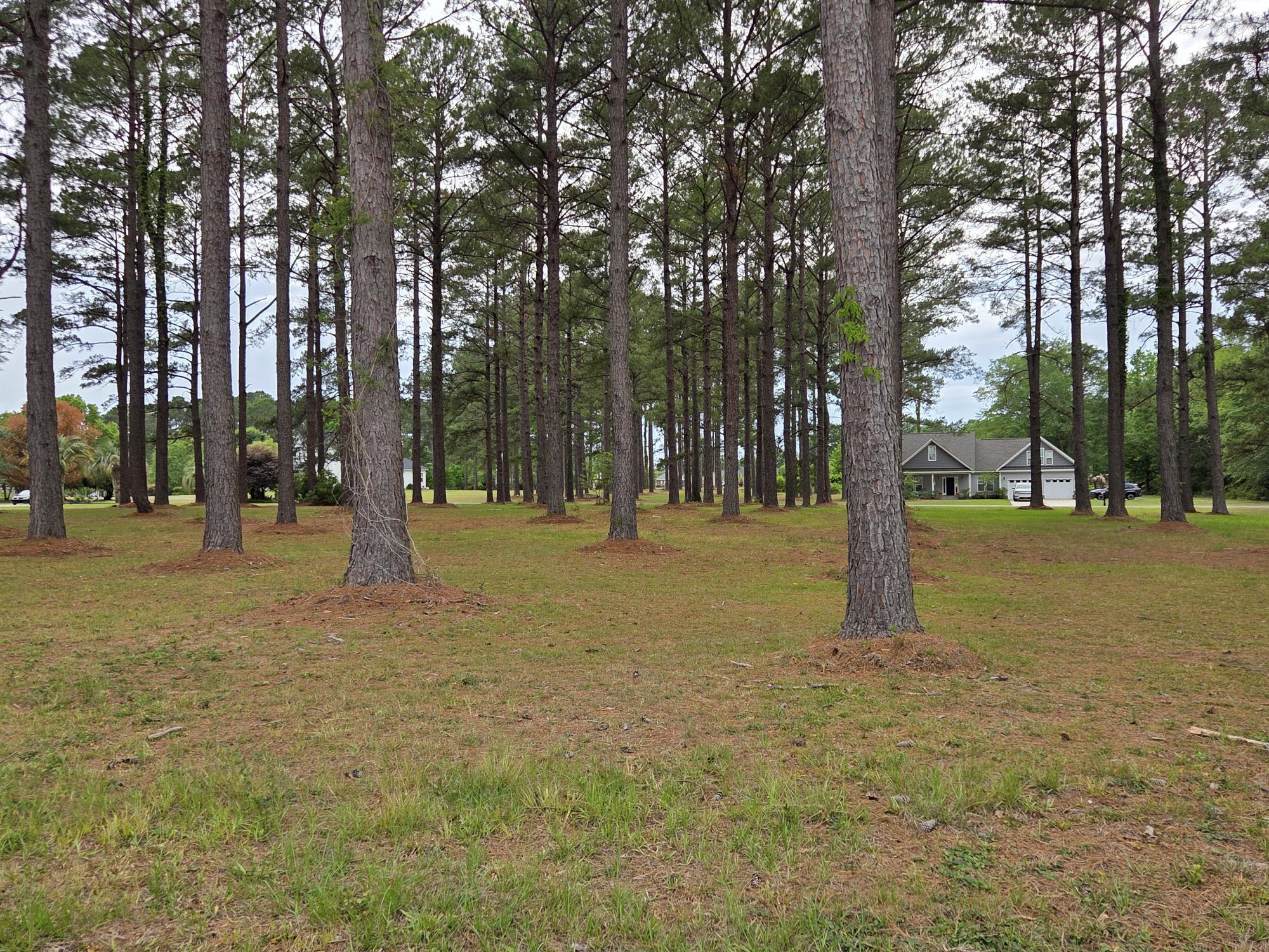 402 Pinelake Court Manning, SC 29102 - Photo 6 of 25