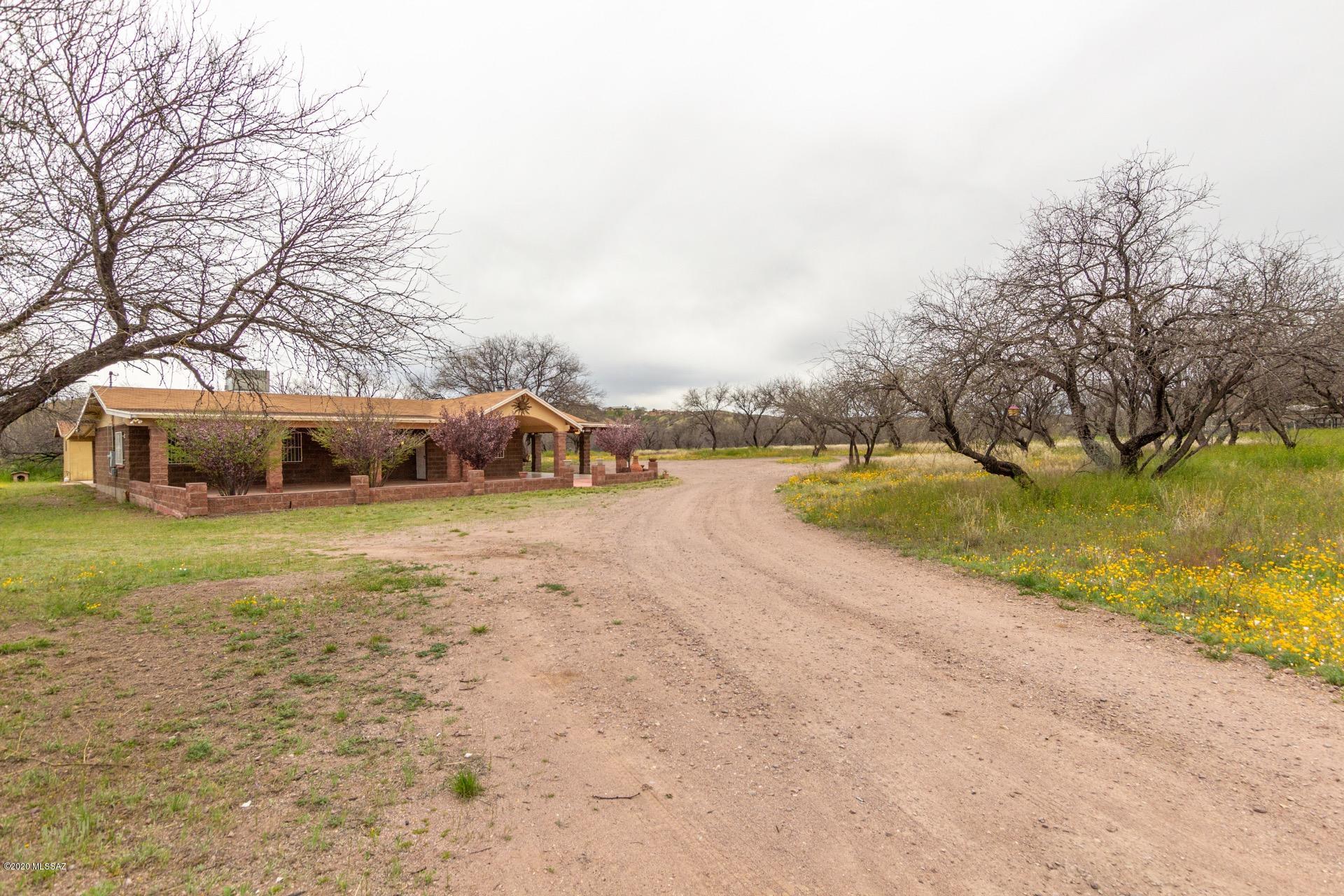 315 Via Papagayo Rio Rico, AZ 85648 - Photo 3 of 25