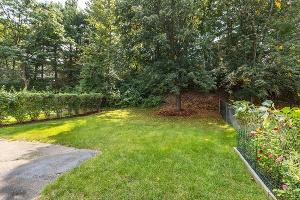 36 Charles Road, Unit 36 Winchester, MA 01890 - Photo 18 of 20