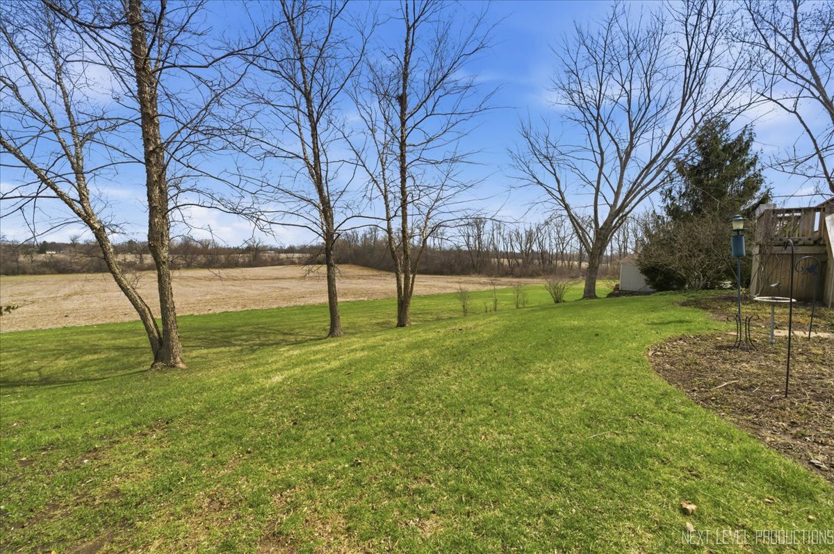 2984 Marshfield Court Elgin, IL 60124 - Photo 37 of 40 a view of yard with tree and green space