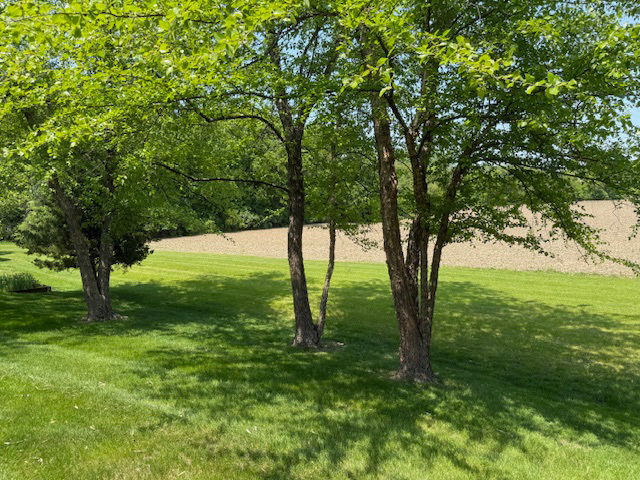 2984 Marshfield Court Elgin, IL 60124 - Photo 39 of 40 a view of an outdoor space with a lake view