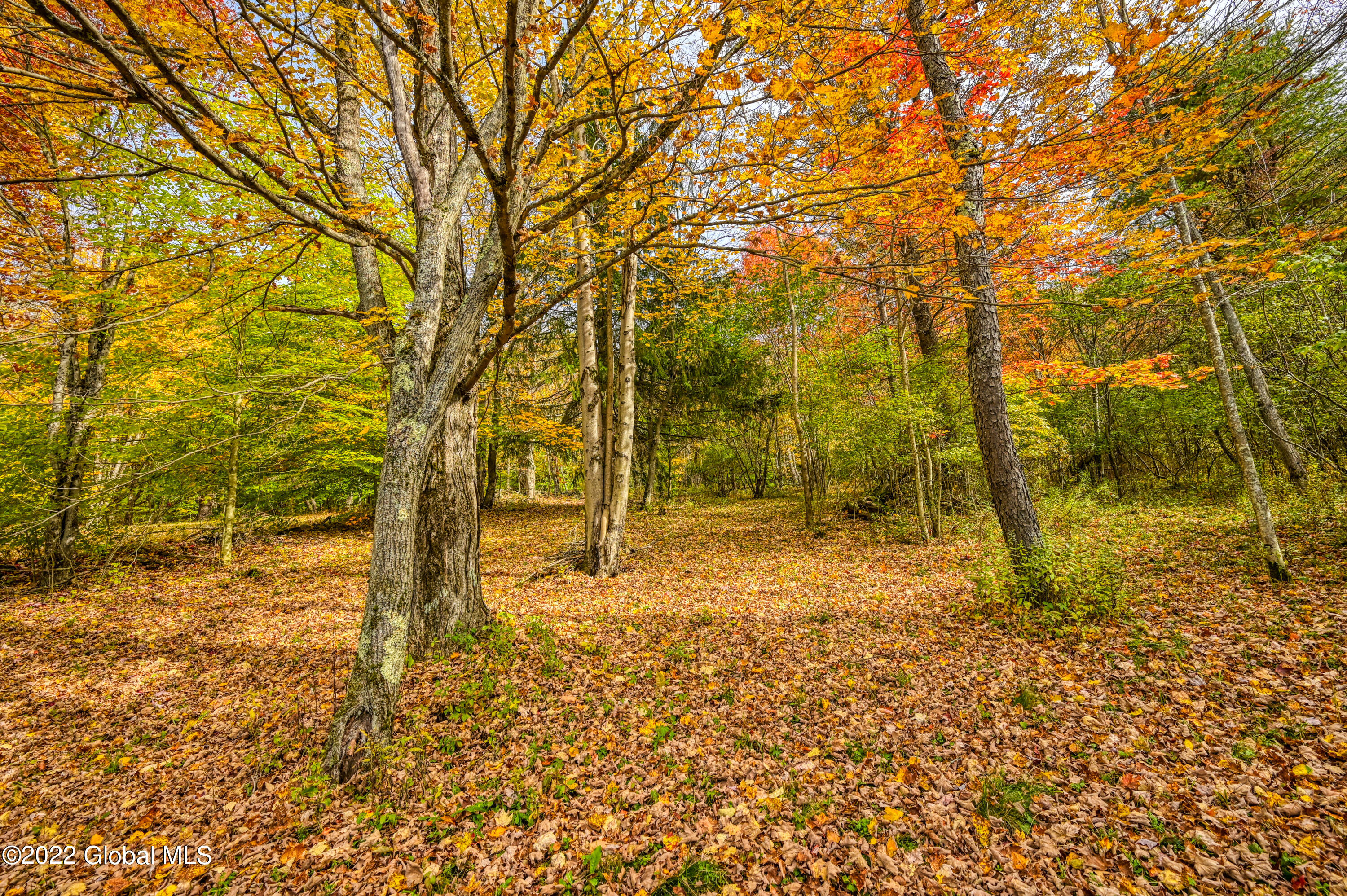 170 Grenier Road Jefferson, NY 12093 - Photo 23 of 78 170 Grenier Rd Jefferson NY 12093-23