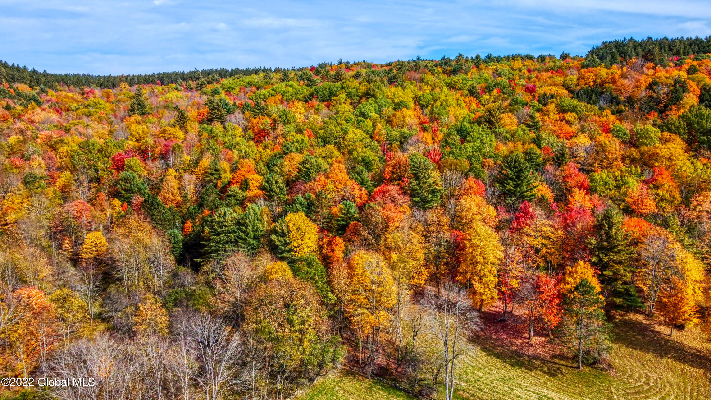 170 Grenier Road Jefferson, NY 12093 - Photo 70 of 78 170 Grenier Rd Jefferson NY 12093-72