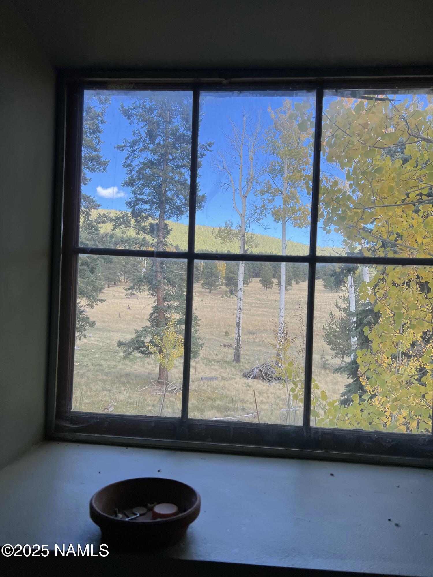 0 Forest Service 900 1k Road Northeast Flagstaff, AZ 86001 - Photo 12 of 25 a view of a glass door with a outdoor view
