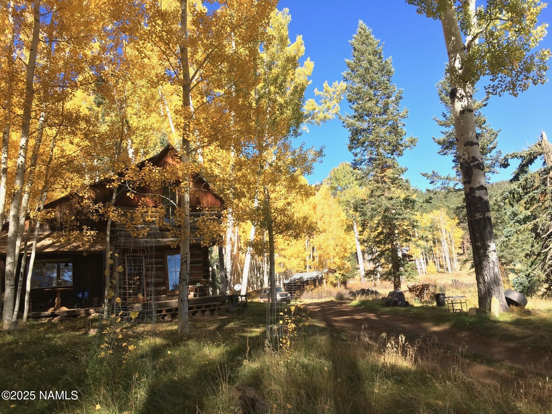 0 Forest Service 900 1k Road Northeast Flagstaff, AZ 86001 - Photo 2 of 25 not sure