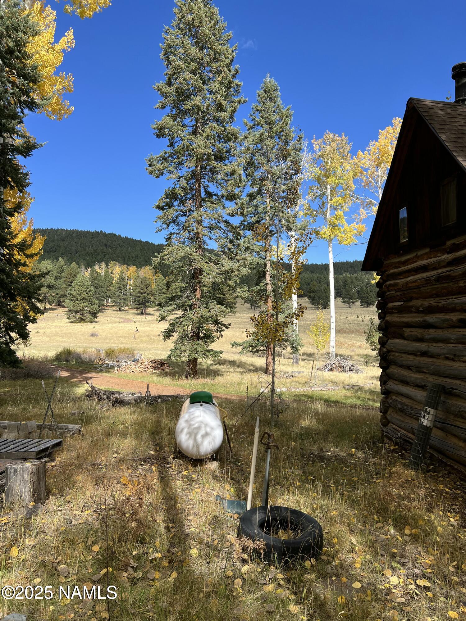 0 Forest Service 900 1k Road Northeast Flagstaff, AZ 86001 - Photo 21 of 25 a view of yard